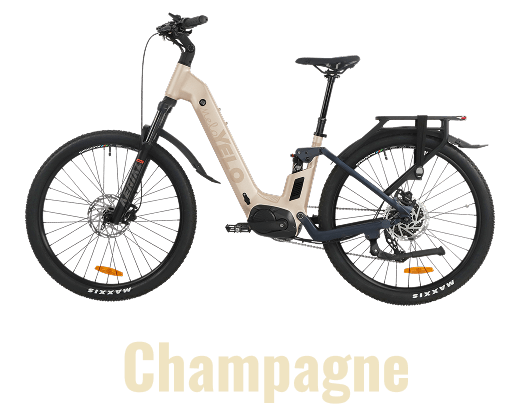 Supertrail Electric Bike - Champagne