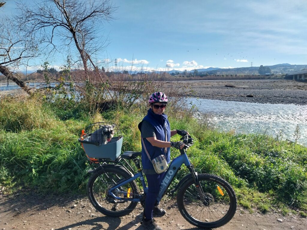 Riding New Zealand's beautiful cycle tracks and trails by ebike with your dog along for the ride