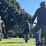 Haven't ridden for 20, 30 or 40 years? Here's how to start again.